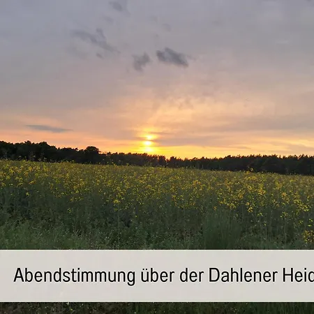 Sonnendeck - Familienzeit Im Wald Apartment Dahlen
