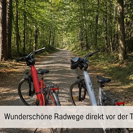 Sonnendeck - Familienzeit Im Wald *