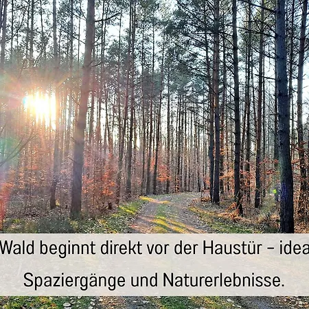 Sonnendeck - Familienzeit Im Wald *